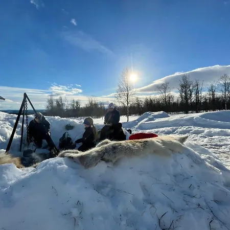 بيت خشبي Olebu Skammestein