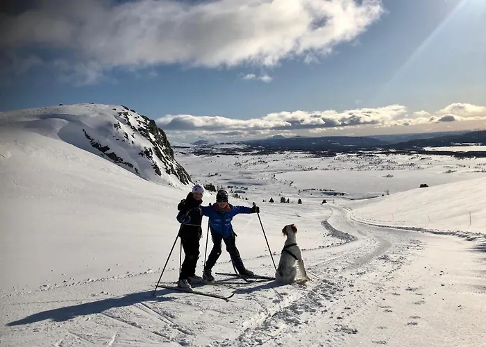 Lodge Olebu Skammestein