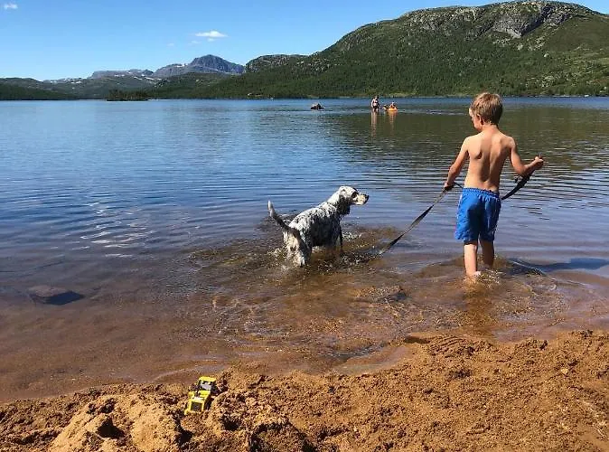 Lodge Olebu Skammestein